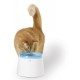 Catit Fontaine à Chat Compacte 2 L