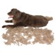 Furminator Outil Deshedding Chien Poils Longs Taille L