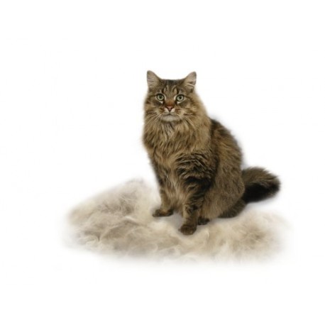 Furminator Outil Deshedding Chat Poils Longs Taille L , Hauteur x longueur x largeur : 23 cm x 8 cm x 13 cm