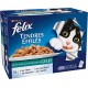 FELIX Tendres Effilés en Gelée Poissons - 12x100 g - pour chat adulte - Lot de 6