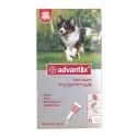 Pipettes Antiparasitaires Pour Chien 10/25 kg/Bayer - Boite de 6 Pipettes