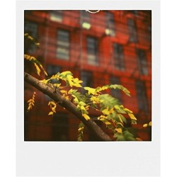 Impossible - 2785 - pellicule couleur pour Appareil Polaroid type P600 - cadre blanc - 8 feuilles par boîte