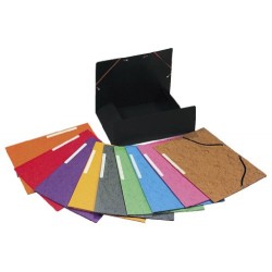 Exacompta Lot de 10 Chemises Cartonnées 3 Rabats Fermeture par élastique 24x32cm Coloris assortis