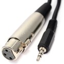 3,5 mm Stéréo Jack PC Ordinateurs Portable Vers XLR Femelle Table de mixage Parleur câble 2 m