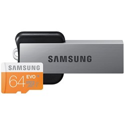 Samsung 64 Go Carte Mémoire EVO MicroSDXC Classe 10  avec adaptateur USB MB-MP64DU2/EU