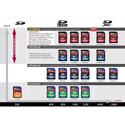 Transcend 32 Go Carte mémoire SDHC Classe 10 UHS-I 600x TS32GSDHC10U1E [Emballage « Déballer sans s'énerver par Amazon »]